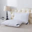 Coussin en coton (ensemble de 2)