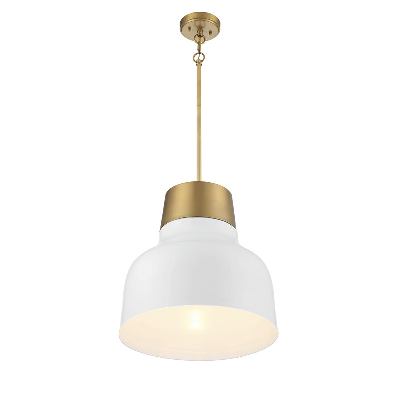Dooley 1 - Light Single Dome Pendant in White, White