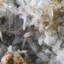 Hémimorphite avec limonite in situ.