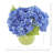 Real Touch Hydrangeas in Ceramic Pot