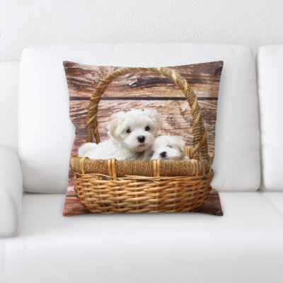 Aiden Microsuede Reversible Throw Pillow