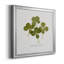 «Pressed Clover I», reproduction encadrée de qualité supérieure - prête à être accrochée-1872520554-1872520559-1872520560