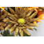 Arrangement floral mixte-24079599