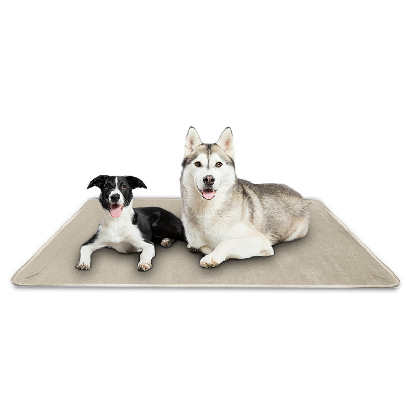 Protecteur de mobilier imperméable, doux, lavable et léger pour chien, Crème / beige, 60 po x 40 po