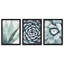 Floral et botanique 40834, ensemble de plantes grasses, 40834, ensemble de plantes grasses, vert et vert menthe, impression sur toile-1556195287
