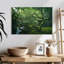 Arbre japonais Alvord-107719017