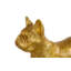 French Bulldog, Gold Leaf