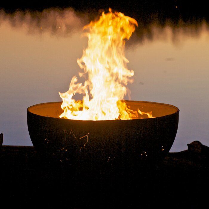 Fire Pit Art Funky Dog Fire Pit | Wayfair