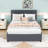 Wood Upholstered Platform Bed with Drawers, Trundle and Headboard-1639318667-1639318665