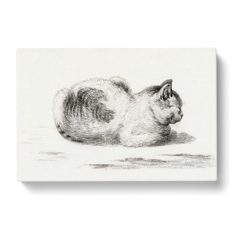 The Cat by Jean Bernard - Wrapped Canvas, 40cm H x 60cm W x 3cm D