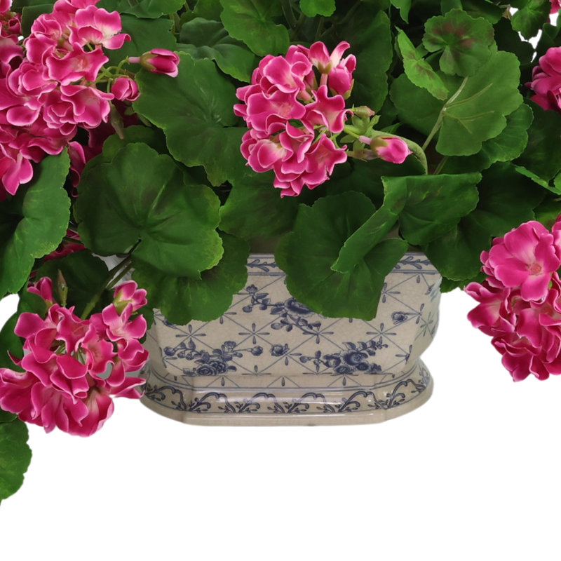 Ensemble de géraniums dans un vase décoratif