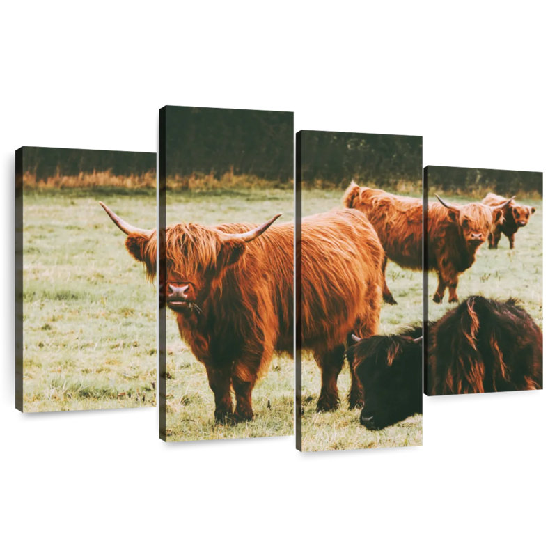 Brampt Highland Cow Group, H 48 po x l 75 po