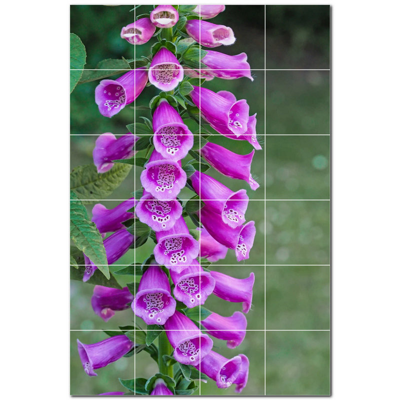 Carreau de céramique décorative 72 po x 48 po PT500652: 12 po x 12 po (ensemble de 24)
