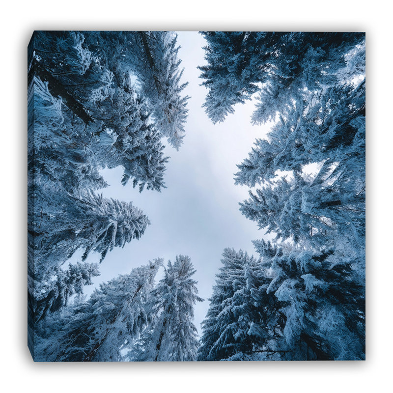 Toile d'hiver encadrée, H 20 po x l 20 po