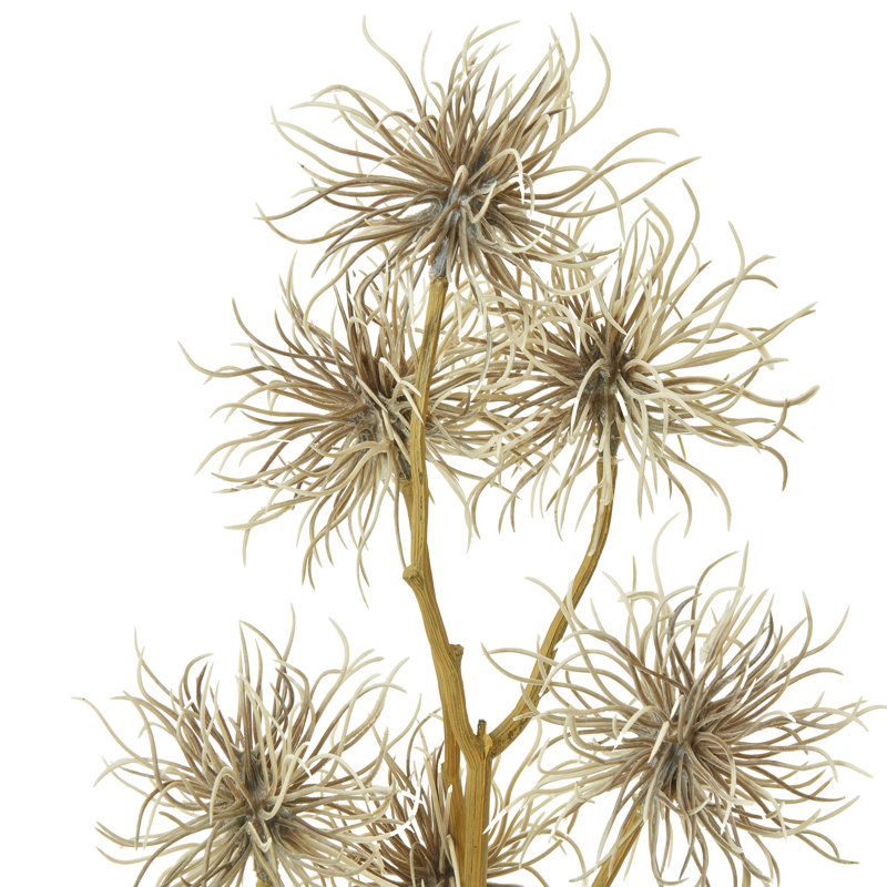 Arrangement, Brown