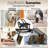 Non-Motorized Dog Treadmill with Adjustable Frame and Quick-Stop Brake