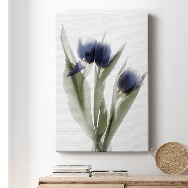 Xray tulipe, impression sur toile tendue, H 18 po x l 12 po x P 1 po