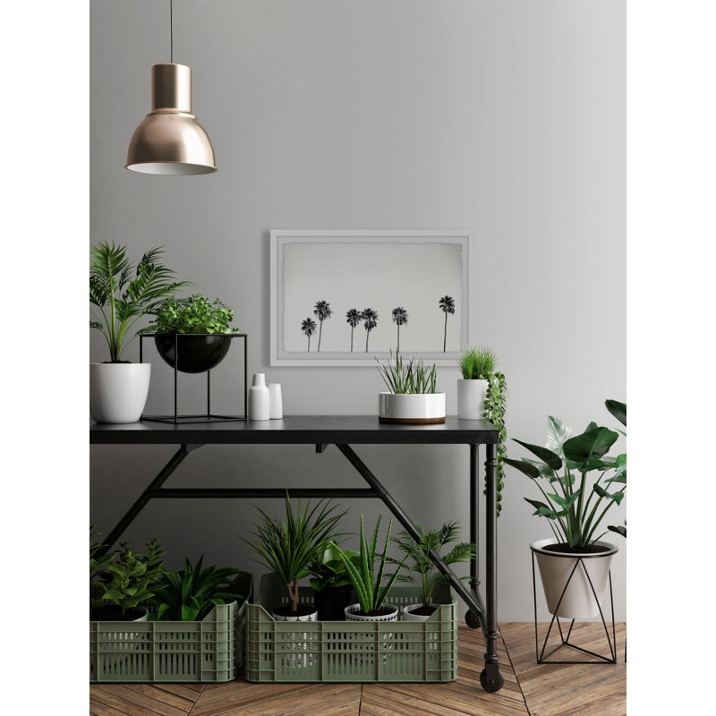 Set Of Palm Trees - Single Picture Frame Print, 20cm H x 30cm W x 3.81cm D