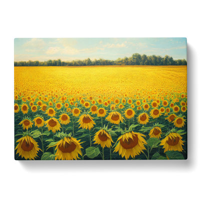 Traditional Sunflower Field - Wrapped Canvas Print