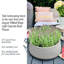 Fibreglass Plant Pot-39263427-39263429