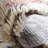 Benally Wool Abstract Indoor Rug-513441035