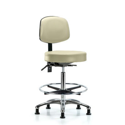 Micah Backed Adjustable Height Ergonomic Lab Stool