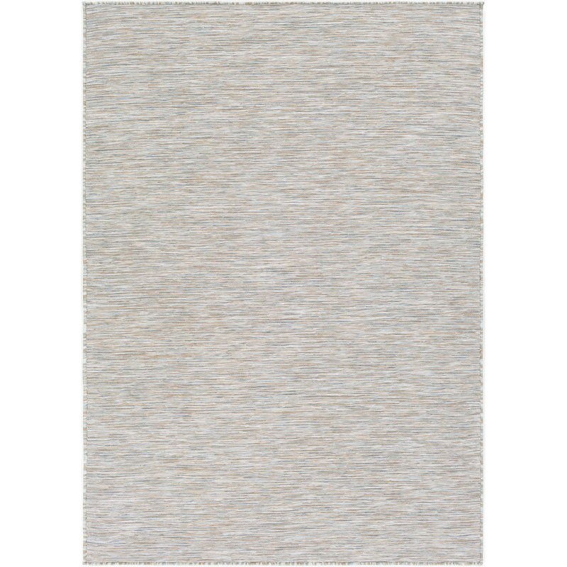 Barbaros Indoor / Outdoor Rug, Rectangle 2'7" x 4'11"