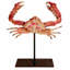 Nautical Crab Sculpture On Stand