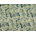 Tropical Foliage; 0505-64