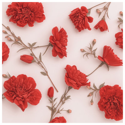 Housses de couette avec arrangement de pivoines rouges