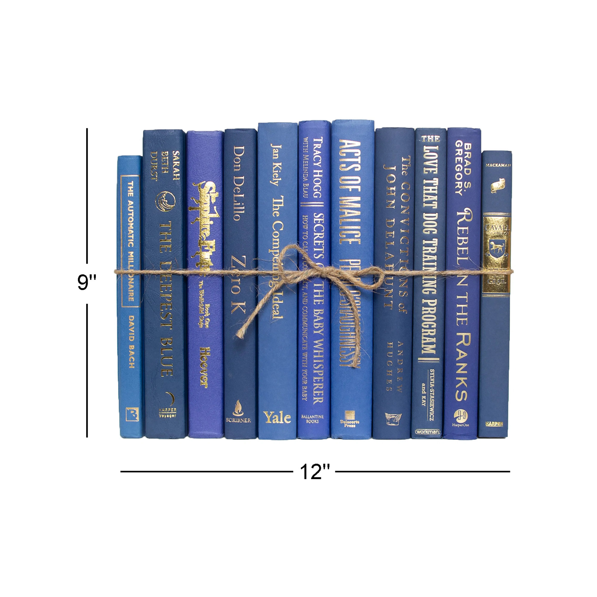 Serefina Decorative Books - Denim & Gold Book Bundle - 1 Foot of Blue Books