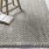 Delton Chevron Indoor Rug