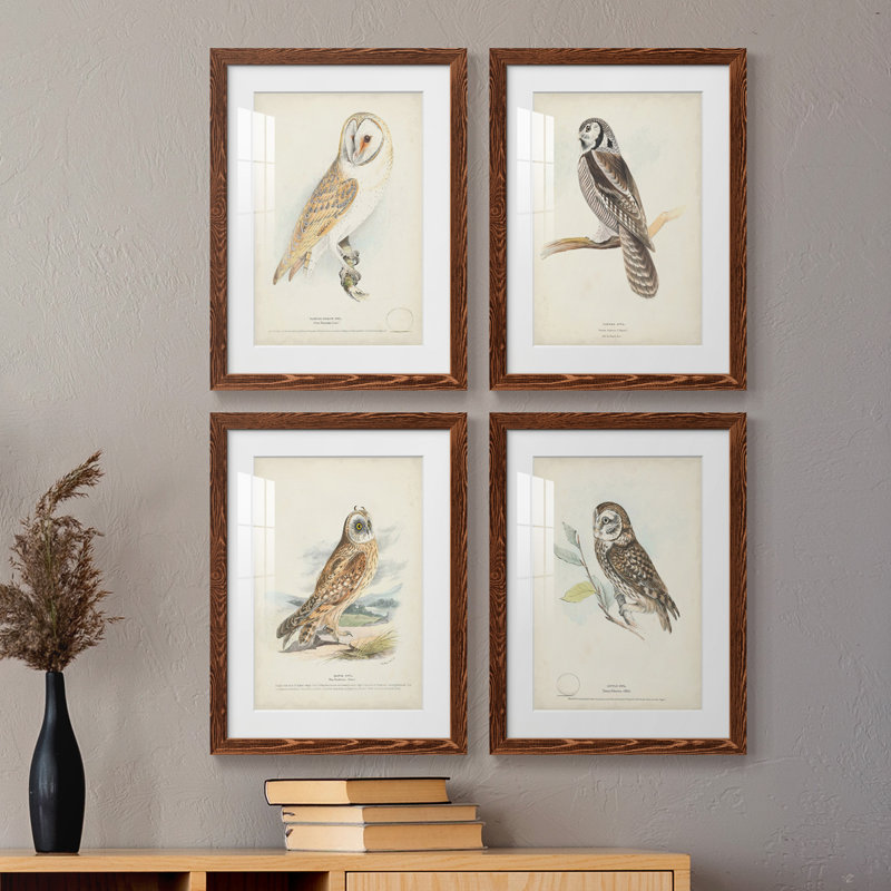 " Barn Owl " 4 - Pieces, Maple, 31.5" H x 23.5" W x 1" D