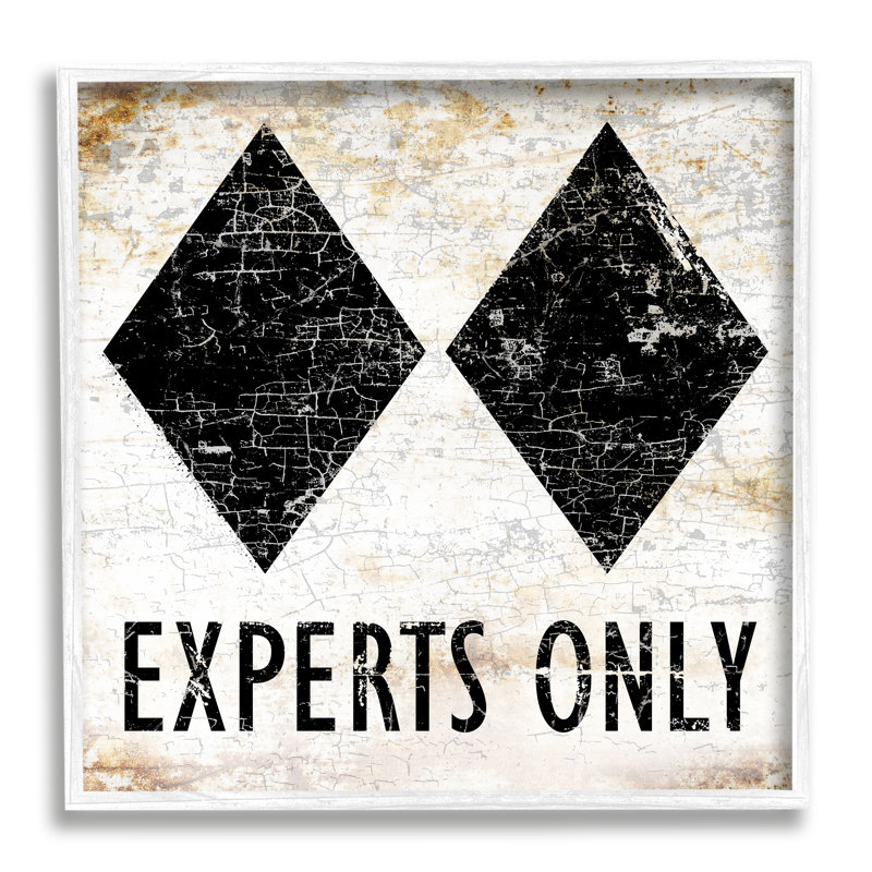 Rustic Experts Only Skiing White Framed Giclee Art by Peter Horjus, 17" H x 17" W x 1.5" D, Coastal White Framed Giclee