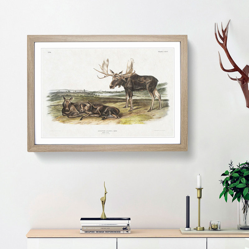 Moose Deer by J.W. Audubon - Picture Frame Art Print, 27cm H x 36cm W x 2cm D, Oak Framed