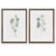 «Soft Eucalyptus Branch III» par Vincent Van Gogh - ensemble de 2 reproductions d'art encadrées-1994130586-1994130589-1994144013