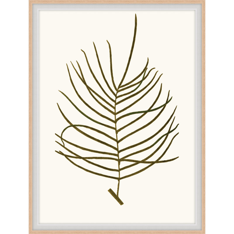 Elevated Undergrowth 2 Print, 24" H x 19" W x 2" D