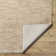 Dan Machine Woven Polyester Area Rug in Beige