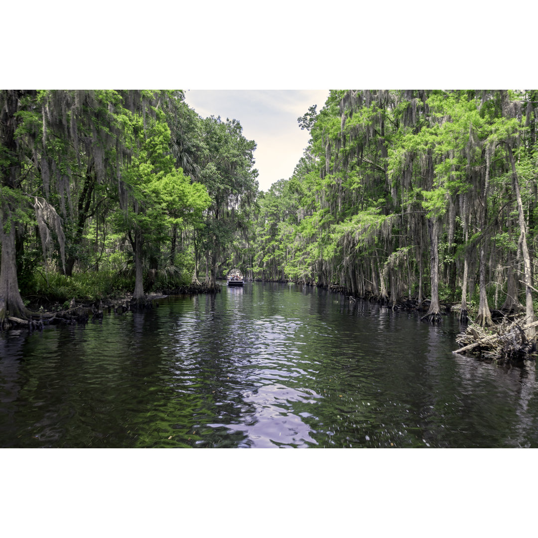 Shingle Creek von VisionsbyAtlee - Kunstdrucke auf Leinwand