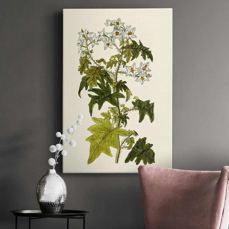 Olive Greenery VI - peinture sur toile tendue, H 12 po x l 8 po x P 1,5 po