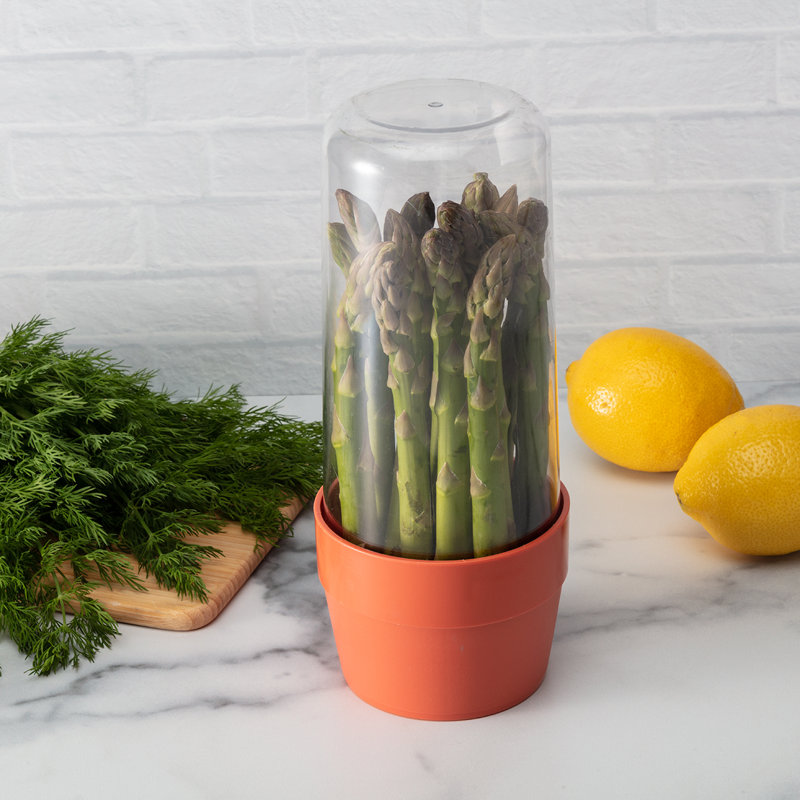 Kestner Food Storage Container