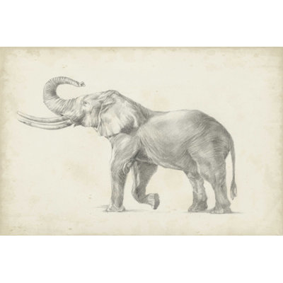 Éléphant croquis I