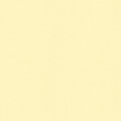 Polyester Blend Fabric