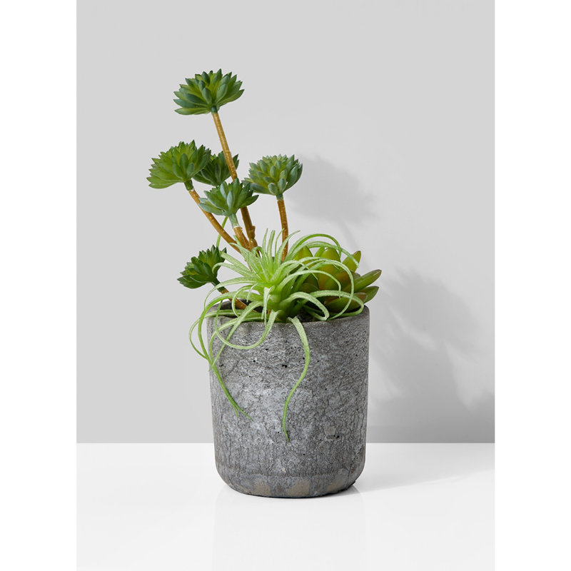 Succulent de bureau mixte artificiel en pot