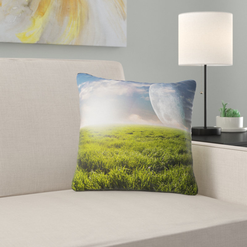 Coussin Field, 16 po x 16 po, Coussin décoratif