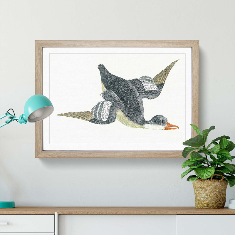 Duck in Flight by Johan Teyler - Picture Frame Painting Print, Oak Framed, 27cm H x 36cm W x 2cm D