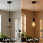1 - Light Caged Pendant-2139313453