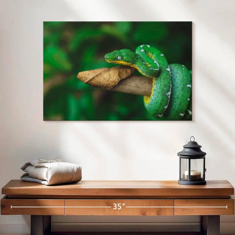 Emerald Tree Snake, 16" H x 24" W