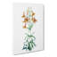 Canada Lily Flowers by Pierre-Joseph Redoute - Wrapped Canvas Painting-55370663