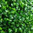 Faux Boxwood Topiary-1724461165